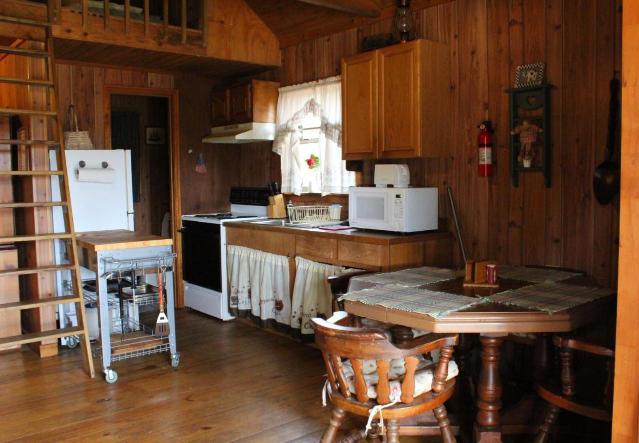 Berry Creek Cabins Acomodação com café da manhã Isabel Exterior foto